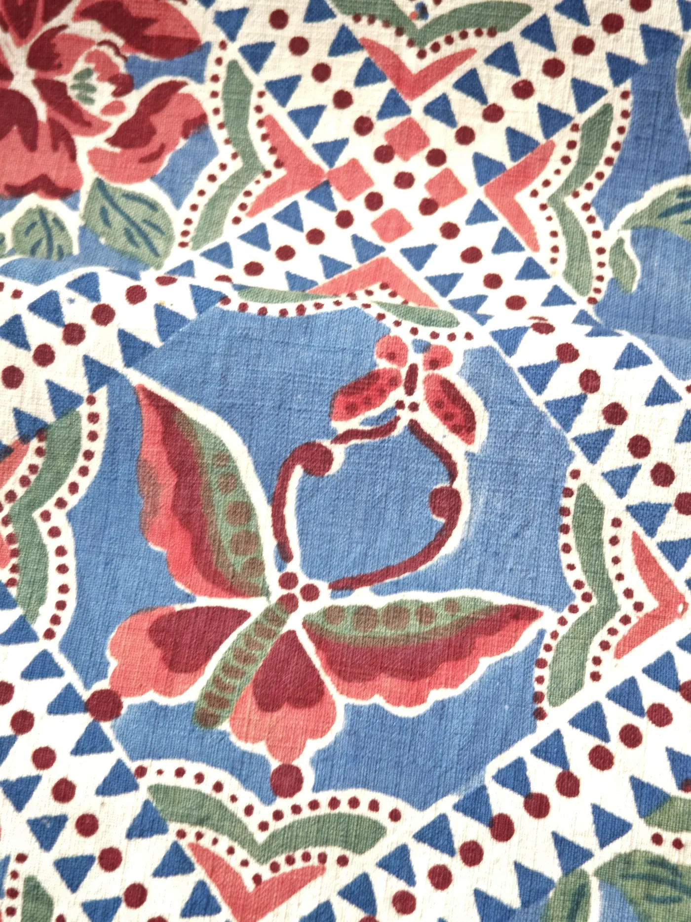 Multicolour butterfly framed by geometric borders and floral elements.
