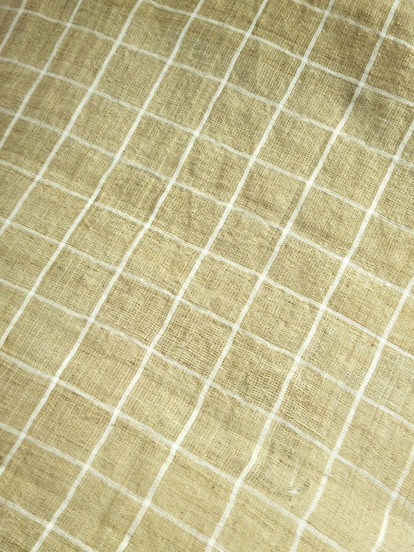 Summer Field Grid — source photograph 5, documenting the same textile.